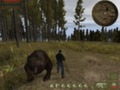 Ничего необычного, просто медведь