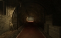 Светлый туннель_1