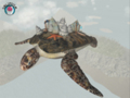 Черепаха в воздухе