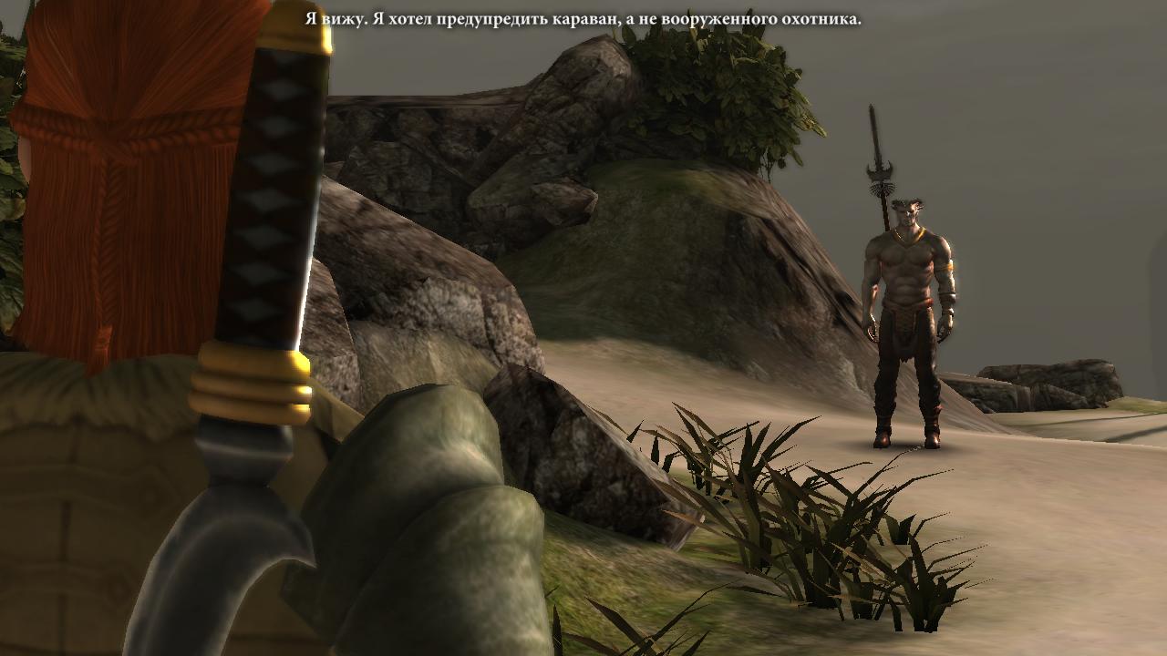Dragon Age 2 Отступник-кунари
