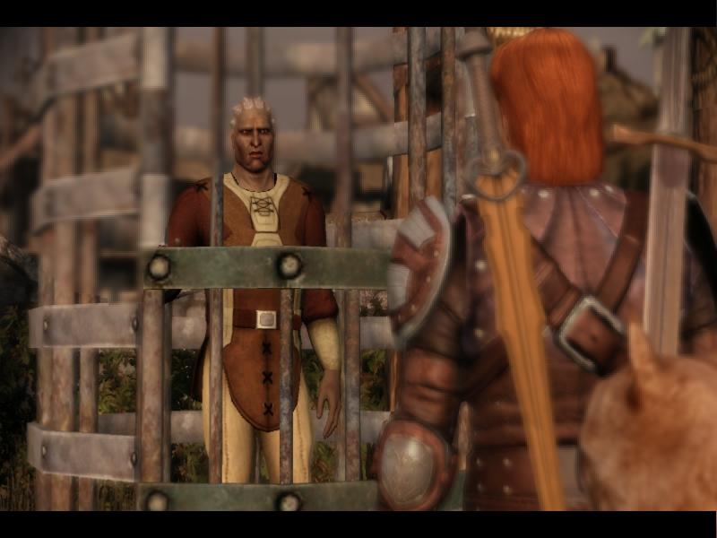 Dragon Age: Origins Стен в клетке