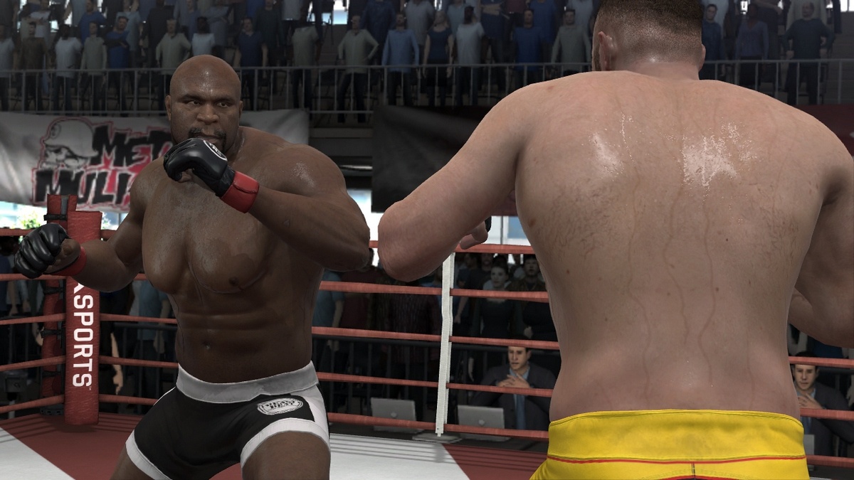 EA Sports MMA Бой