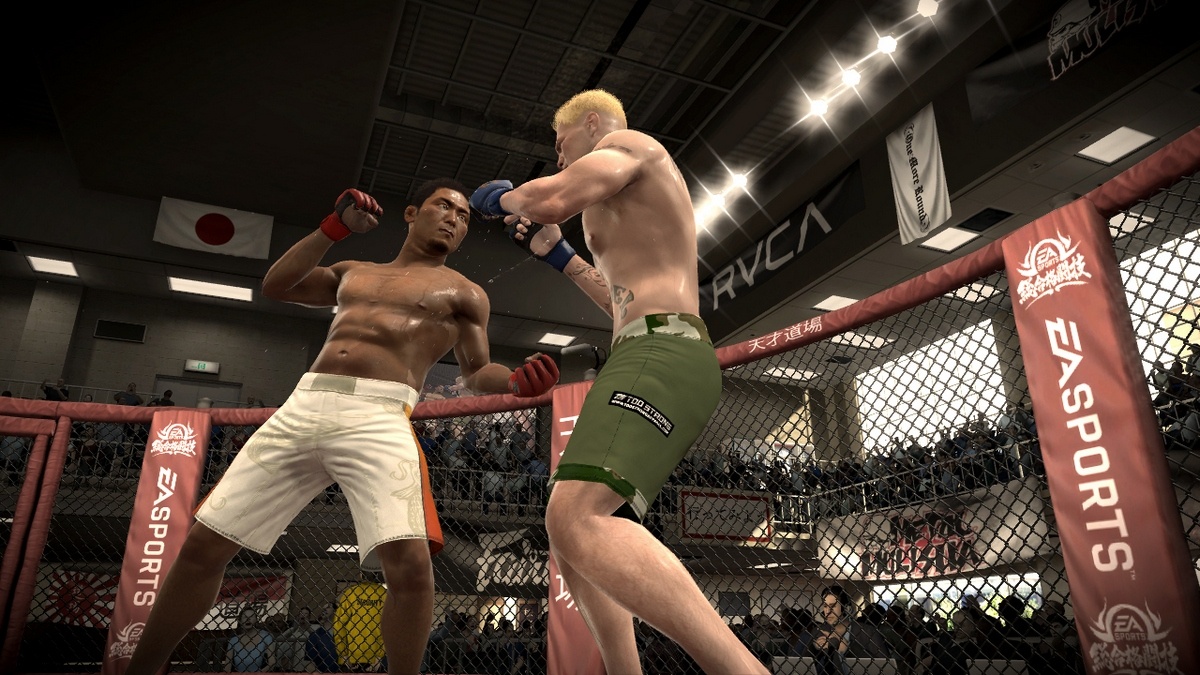 EA Sports MMA Драка
