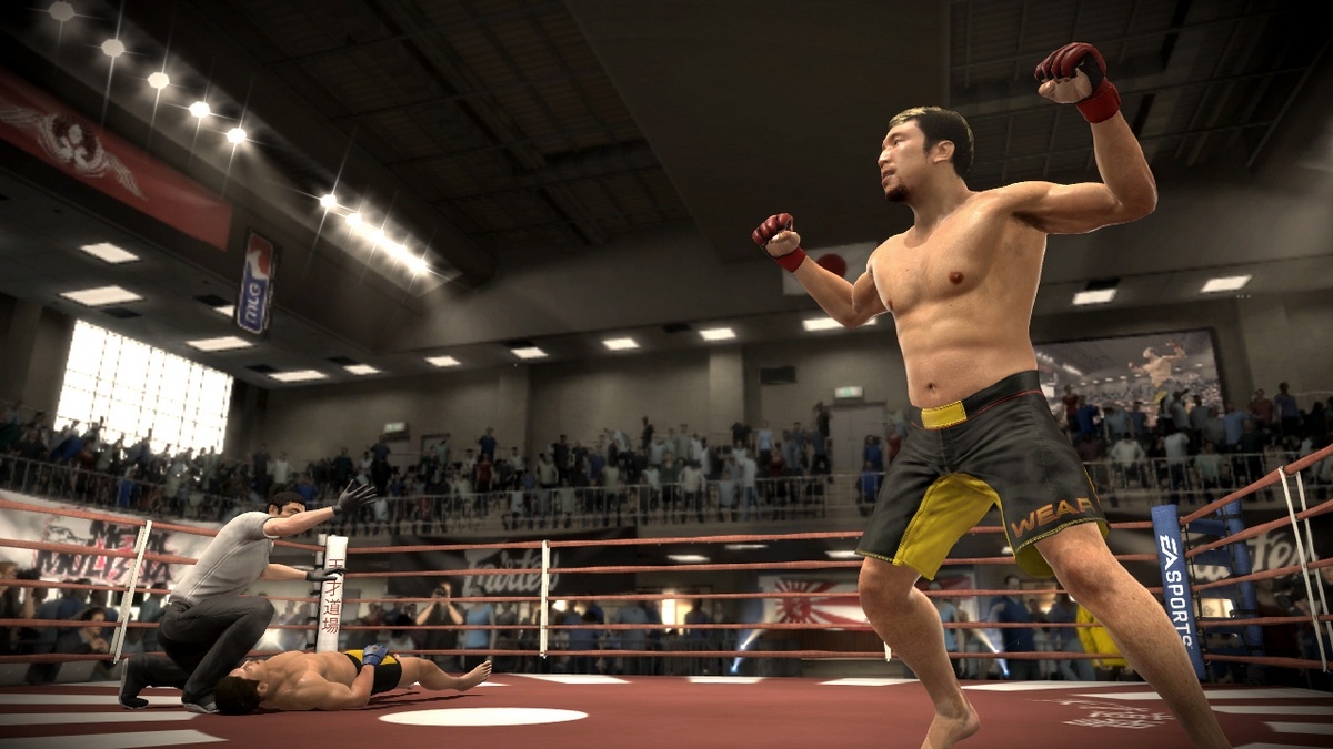 EA Sports MMA Игровой процесс