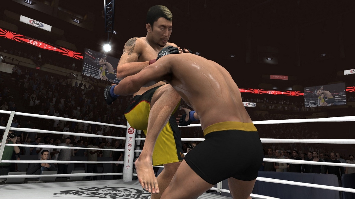 EA Sports MMA Геймплей