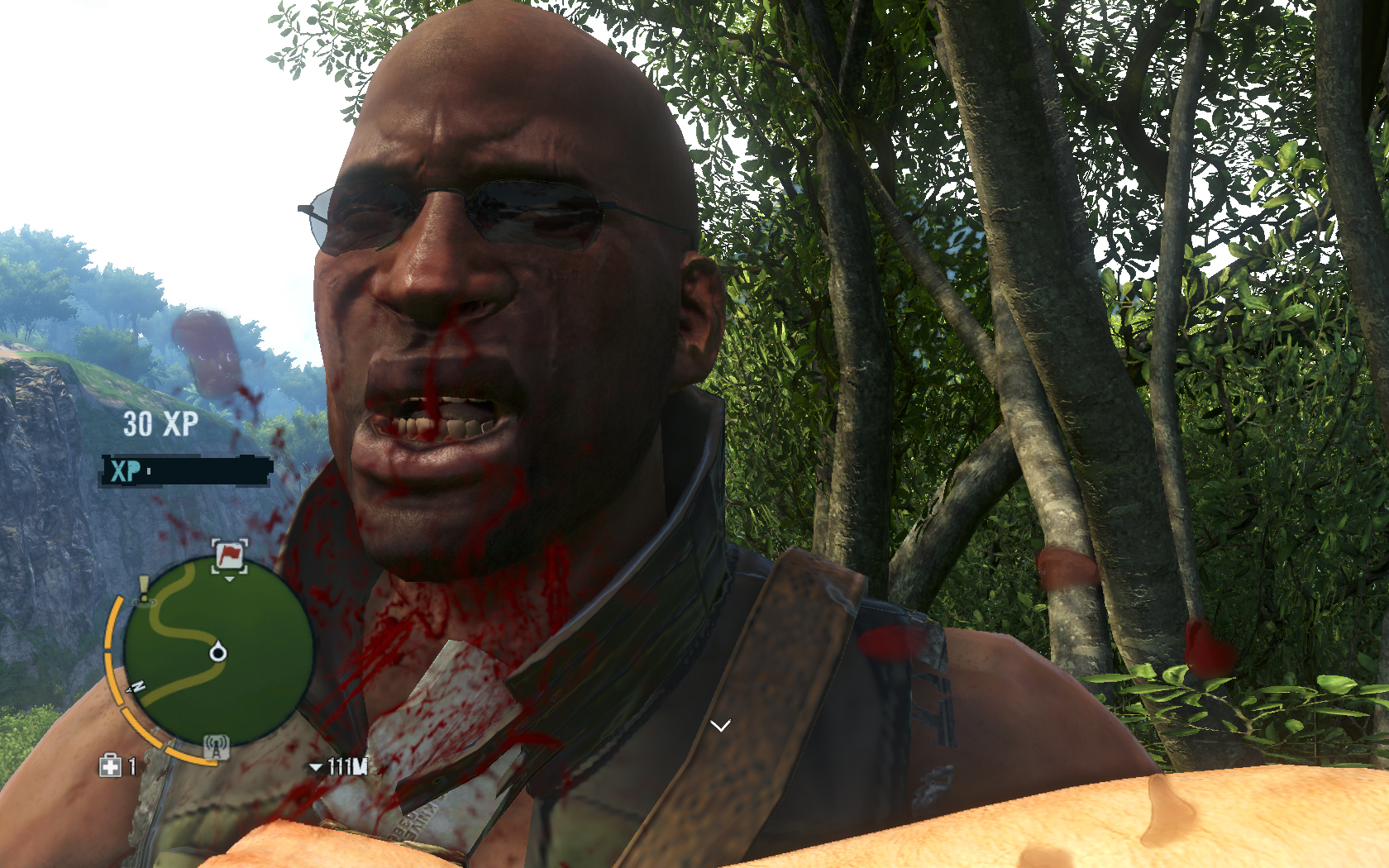Far Cry 3 Страдания врага