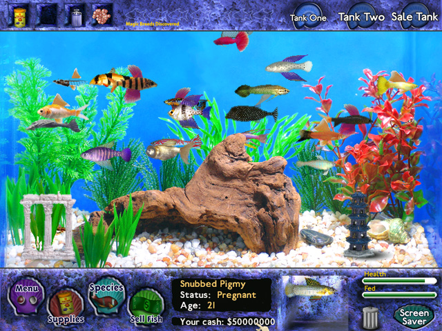 Fish Tycoon for Windows Игровой процесс
