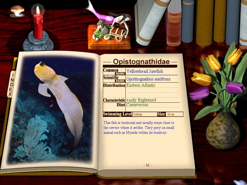 My Sim Aquarium Геймплей