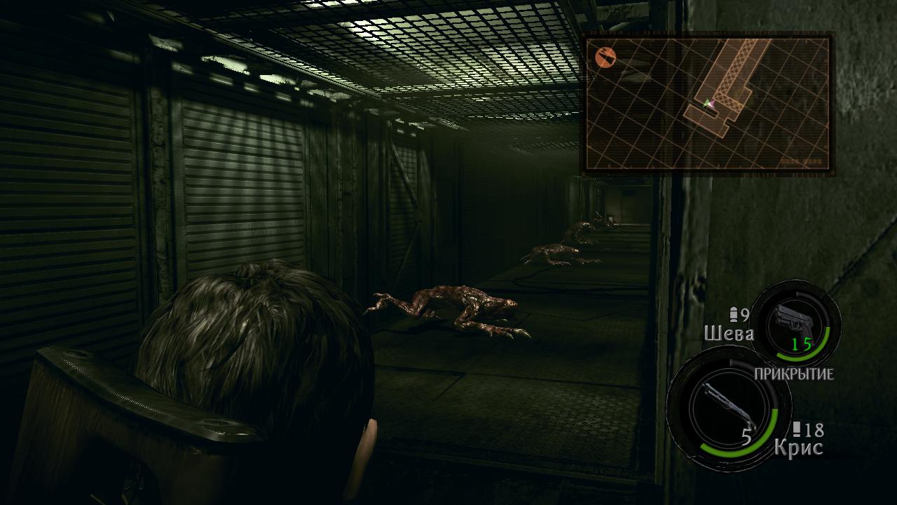 Resident Evil 5 Сборище