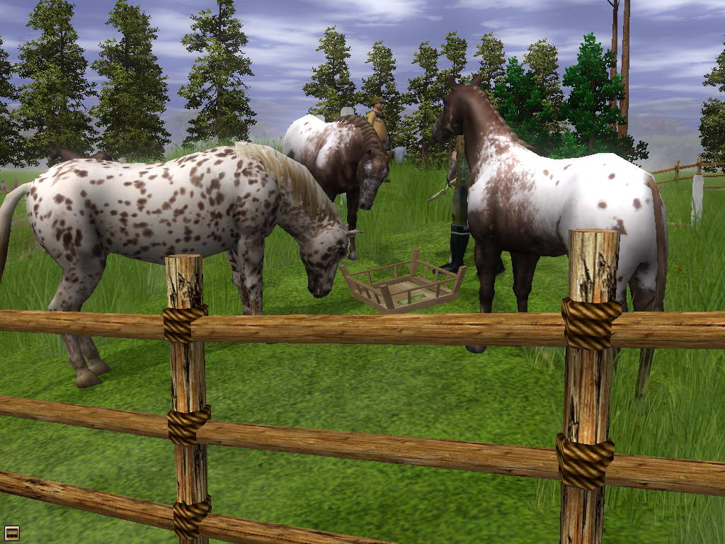 Wildlife Park 2: Horses В загоне 3 лошади