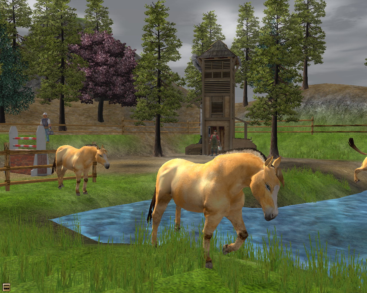 Wildlife Park 2: Horses На водопое