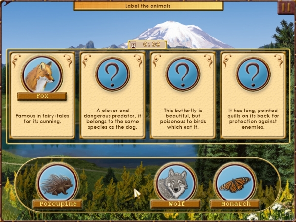 World Riddles: Animals Игровой процесс