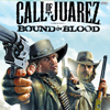 Трейнер Call of Juarez: Bound in Blood