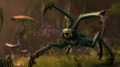 В игре The Elder Scrolls 6 геймеры попадут в Чернотопье