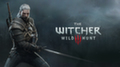 В игре The Witcher 3: Wild Hunt появится новый режим