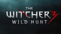 Миллион копий The Witcher 3: Wild Hunt всего за неделю