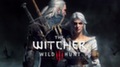 В The Witcher 3 c дополнением 