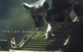 Геймплейный ролик The Last Guardian