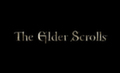 В Bethesda отрицают работы над The Elder Scrolls 6