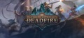 В Pillars of Eternity II: Deadfire будет секретная концовка