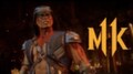 Разработчики Mortal Kombat 11 показали трейлер, посвященный Ночному Волку