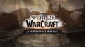 Показ World of Warcraft: Shadowlands также пришлось перенести из-за массовых протестов в США