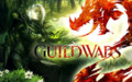 Игра Guild Wars 2 - грядущее доступно для заказа