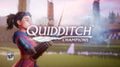 Объявлена дата выхода и системные требования Harry Potter: Quidditch Champions
