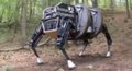 Google поглотила компанию-разработчика роботов Boston Dynamics